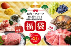 【定期便・全24回】新春おたのしみ 福袋  松（牛肉 豚肉 鶏肉 果物 フルーツ 2025 限定 定期便 先行予約 宮崎 小林市）