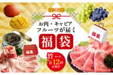 【定期便・全12回】新春おたのしみ 福袋  竹（牛肉 豚肉 鶏肉 果物 フルーツ 2025 限定 定期便 宮崎 小林市）