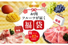 【定期便・全12回】新春おたのしみ 福袋  梅（牛肉 豚肉 鶏肉 果物 フルーツ 限定 2025 定期便 宮崎 小林市）