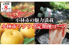 【定期便・全8回＋おまけ１回】小林市ワクワク定期便コース（国産 牛肉 国産牛 和牛 黒毛和牛 豚肉 黒豚 フルーツ くだもの 果物 天然水 日用品 食材）