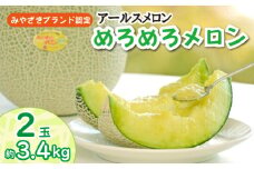 【先行受付・宮崎ブランドフルーツ】小林市産アールスメロン”めろめろメロン”　青肉2玉セット 3.4kg程度（フルーツ メロン 2025 先行予約 果物 人気 限定 宮崎 小林市）