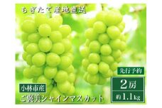 【先行受付・産直もぎたて】ご褒美シャインマスカット2房（約1.1kg ブドウ シャイン シャインマスカット 先行 予約 産地直送）