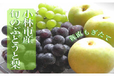 【産直もぎたて】シャインマスカット等と梨の詰め合わせセット　2kg（国産 フルーツ 果物 くだもの ブドウ ナシ 旬 限定）