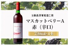 【高原のフレッシュワイン】マスカットベリーA（赤・辛口）