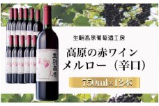 【高原の赤ワイン】メルロー　1ダース