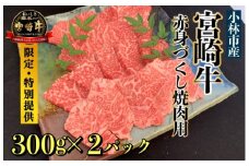 【直売・数量限定受付】A5等級 小林市産宮崎牛赤身づくし焼肉用 600g（内閣総理大臣賞4大会連続受賞 牛肉 黒毛和牛 宮崎牛 牛肉 お肉 焼肉）