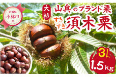 【山奥のブランド栗】大粒すきすき須木栗 3L サイズ以上 1.5kg（生栗 マロン くり 甘露煮 栗ご飯 限定）