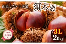 【山奥のブランド栗】大粒すきすき須木栗 3L サイズ以上 2kg（生栗 マロン くり 甘露煮 栗ご飯 限定）