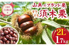 【山奥のブランド栗】すきすき須木栗 2Lサイズ以上 1.7kg（生栗 くり マロン 甘露煮 栗ご飯 限定）