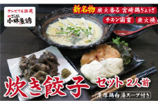 【テレビで話題】元祖ざる焼き小林養鶏　芸能人も大絶賛した炊き餃子と特製チキン南蛮＆炭火焼セット（国産 鶏 鶏肉  小分け  もも肉 むね肉 焼肉 鍋 唐揚げ 炭火焼 チキン南蛮 惣菜 調理済 冷凍 宮崎 小林市）