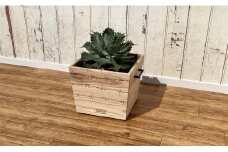 シダーBOX（鉢カバー）有刺鉄線入り