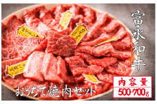 【自社農場和牛】富永和牛おうちで焼肉セット（国産 牛肉 和牛 赤身 霜降り 焼肉 BBQ 限定）