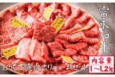 【自社農場和牛】富永和牛おうちで焼肉ボリュームセット（国産 牛肉 和牛 赤身 霜降り 焼肉 BBQ 限定）