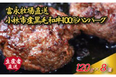 【自社農場和牛】富永和牛手作りハンバーグ（ハンバーグ 牛肉 牛肉100% 国産 冷凍 調理済 宮崎 惣菜 小林市）