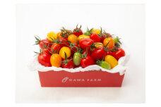 香TOMATO<OGAWA　FARM>