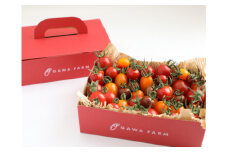香TOMATO3キロ<OGAWA　FARM>