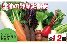 【野菜の定期便】こばやし季節の野菜詰め合わせセット（全12回×8~10種類） 野菜 定期便 やさい 定期便 野菜セット やさいセット 春野菜 夏野菜 秋野菜 冬野菜 旬