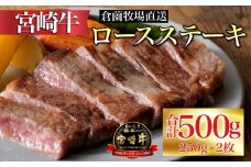【内閣総理大臣賞 4大会連続受賞】食べログ百名店・倉薗牧場 小林市産宮崎牛ロースステーキ 250g×2枚（ふるさと納税 国産 牛肉 黒毛和牛 宮崎牛 霜降り ロース ステーキ  冷凍 産地直送 送料無料）