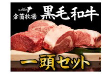 【倉薗牧場直送】長期育成牛・小林市産くらぞの黒毛和牛　一頭セット