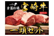 【倉薗牧場直送】長期育成牛・小林市産くらぞの宮崎牛A5等級　一頭セット