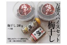 【無添加梅】梅干しと万能スパイスセット