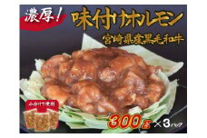 宮崎県産黒毛和牛濃厚味付けホルモン900g（ 牛 国産 ホルモン 300g 3パック 焼肉 炒め物）