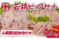 【人気部位詰め合わせ】宮崎県産若鶏4kgビッグセット（若鶏 国産 モモ ムネ ササミ 小分け 大容量 冷凍）