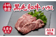 【自社農場和牛】メス指定黒毛和牛ハラミ　300g（国産 黒毛和牛 牛肉 ハラミ 焼肉 BBQ 冷凍 送料無料）