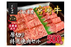 【黒毛和牛レストラン直送】A4等級以上 宮崎牛メス指定厚切り特選焼肉セット 500g（国産 牛肉 黒毛和牛 和牛 A4等級以上 赤身 霜降り 焼肉 BBQ 冷凍）