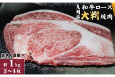 【訳あり増量！】九州産和牛ロース大判焼肉1kg（国産 牛肉 黒毛和牛 焼肉 BBQ 訳あり 真空パック 冷凍）