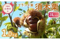 【期間・数量限定】ブランド栗「須木栗」3Lサイズ 1kg程度（生栗 マロン 栗 果物 フルーツ 限定 秋 旬）