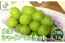 【産直もぎたて】大玉 シャインマスカット 700g（ぶどう ブドウ シャイン マスカット フルーツ 果物 くだもの 旬 産地直送 限定） 