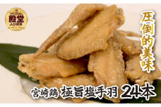 【手羽先サミット殿堂入り！】極旨塩 手羽先 唐揚げ 24本（国産 鶏肉 手羽 手羽先 唐揚げ 塩 味付き 限定 冷凍）