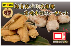 【手羽先サミット殿堂入り・レンジでチンするだけ♪】極旨塩手羽先唐揚げ 宮崎手羽ギョーザ セット（鶏肉 手羽先 手羽 唐揚げ 餃子 ギョウザ 調理済み 冷凍 人気）