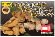【手羽先サミット殿堂入り・レンジでチンするだけ♪】極旨塩手羽先唐揚げ 手羽ギョーザ 鶏MAX！セット（鶏肉手羽先 唐揚げ 餃子 もも肉 せせり 鶏皮 調理済み）