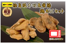 【手羽先サミット殿堂入り・レンジでチンするだけ♪】極旨塩 手羽先 唐揚げ 鶏MAX！セット（鶏肉 手羽先 手羽 唐揚げ もも肉 鶏皮 せせり 調理済み 冷凍 人気）