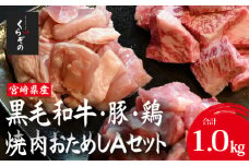 宮崎県産 牛・豚・鶏 焼肉おためしAセット 計1kg（牛肉 豚肉 鶏肉 和牛 焼肉 訳あり 小分け 食べ比べ）