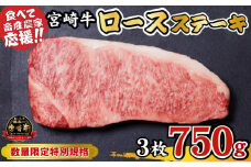 【内閣総理大臣賞 4大会連続受賞】宮崎牛 ロースステーキ 750g（牛肉 黒毛和牛 畜産農家応援 ロース ステーキ 赤身 数量限定）
