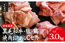 宮崎県産 牛・豚・鶏 焼肉おためしCセット 計3kg（牛肉 豚肉 鶏肉 和牛 焼肉 訳あり 小分け 食べ比べ）