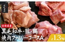 宮崎県産 牛・豚・鶏 焼肉ファミリーコースA 計1.3kg（牛肉 豚肉 鶏肉 和牛 ロース モモ ウデ 焼肉 小分け 人気）