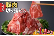 九州産豚肉切り落とし 4.8kg（300g×16P 国産 豚肉 切り落とし 人気 大容量 真空パック 簡易包装 冷凍）