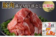 【定期便・全3回】九州産 豚肉満足 切り落とし 定期便（豚肉 切り落とし 小間切れ 定期便）