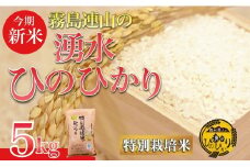 【令和6年産 新米】霧島連山の湧水ヒノヒカリ 特別栽培米 5kg（国産 米 新米 令和6年新米 精米済み 特栽米 ヒノヒカリ）