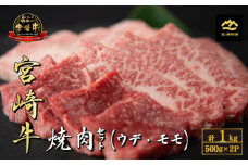 【A4等級以上】宮崎牛おためし焼肉 500g×2P（国産 牛肉 肉 宮崎牛 黒毛和牛 お肉 赤身 モモ ウデ  焼肉 人気 特別提供）