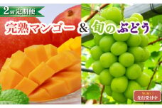 【全2回・フルーツ定期便】小林市産 完熟マンゴー＆旬のぶどう 定期便（フルーツ マンゴー ブドウ シャインマスカット 果物 定期便 宮崎）