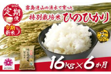 【お米の定期便／６か月コース】霧島連山の湧水ヒノヒカリ特別栽培米16kg（定期便 国産 米 新米 令和６年新米 精米済み 特栽米 送料無料）