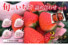 【先行受付】小林市産 朝摘み新鮮いちご 詰め合わせ （250g×2パック） 苺 イチゴ 果物 贈答用 プレゼント 先行予約