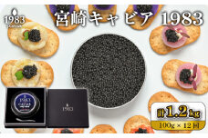 【定期便・全12回】＜国際線ファーストクラス採用＞宮崎キャビア1983 100g×12回（国産 キャビア 魚卵 宮崎県 宮崎 小林市 定期便）