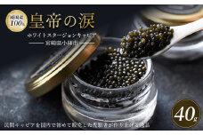 【純国産キャビア】ホワイトスタージョンキャビア 40g（20g×2） 皇帝の涙 国産 チョウザメ キャビア 国産キャビア 魚卵 宮崎県