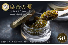 【純国産キャビア】オシェトラキャビア 40g（20g×2） 皇帝の涙 国産 チョウザメ キャビア 国産キャビア 魚卵 宮崎県
